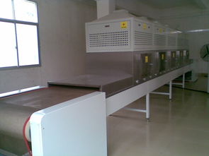 廣東福滔 微波牛肉干燥殺菌機(jī)廠家直銷(xiāo)，以卓越品質(zhì)引領(lǐng)行業(yè)標(biāo)準(zhǔn)
