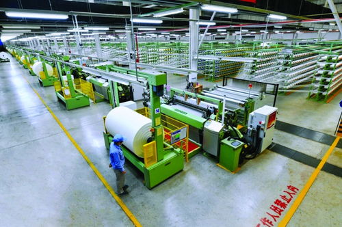 奮力打造世界一流的尼龍全產(chǎn)業(yè)鏈價值創(chuàng)造者 神馬股份高質(zhì)量發(fā)展紀(jì)實(shí)