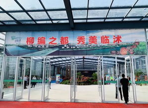 柳編之都 秀美臨沭 一起來看創(chuàng)意柳編吧